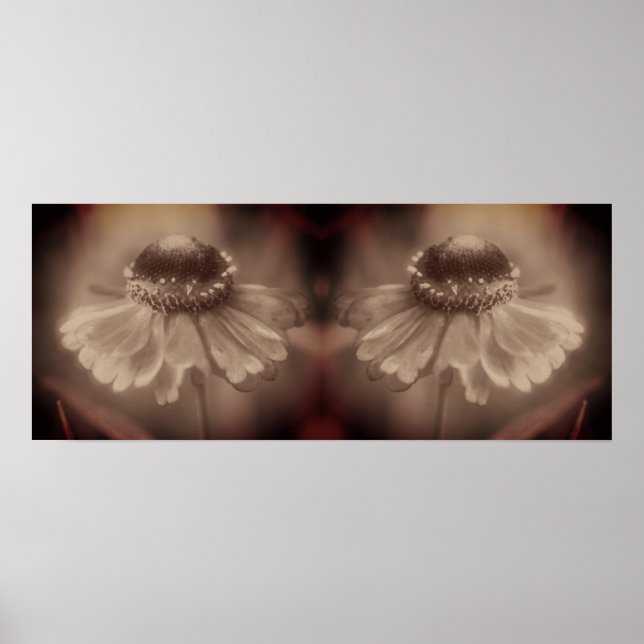 Soft Zinnia Daisy Blume Sepia Vintag Abstrakt Poster (Vorne)