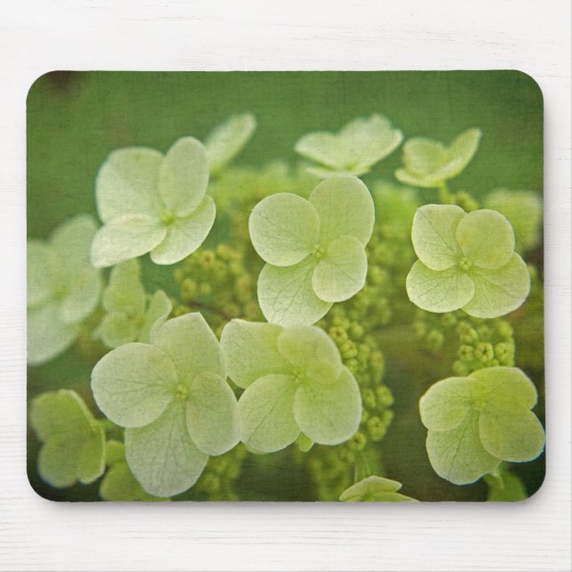 Softly Hydrangeas Mousepad (Vorne)
