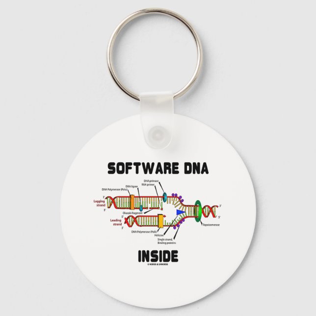 Software-DNA-Inside (DNA-Replikation) Schlüsselanhänger (Vorderseite)