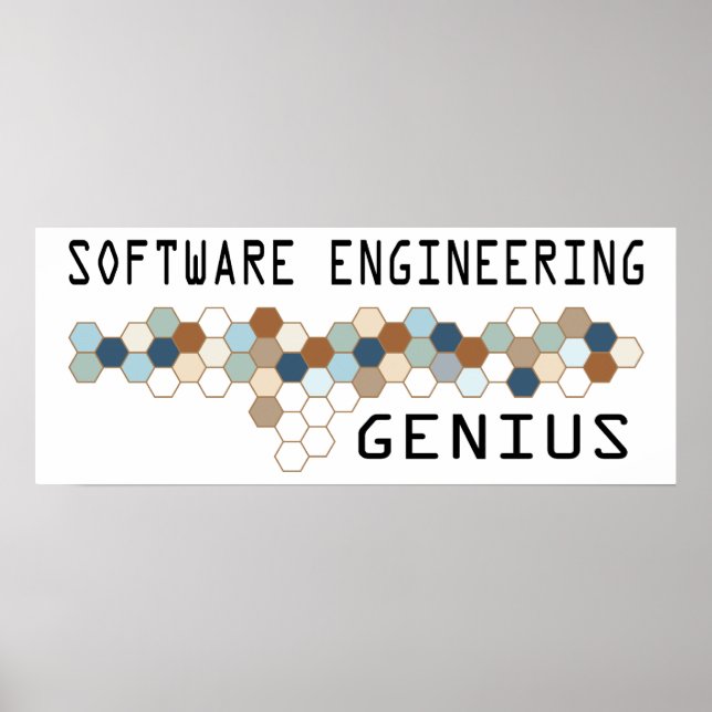 Software Engineering Genius Poster (Vorne)