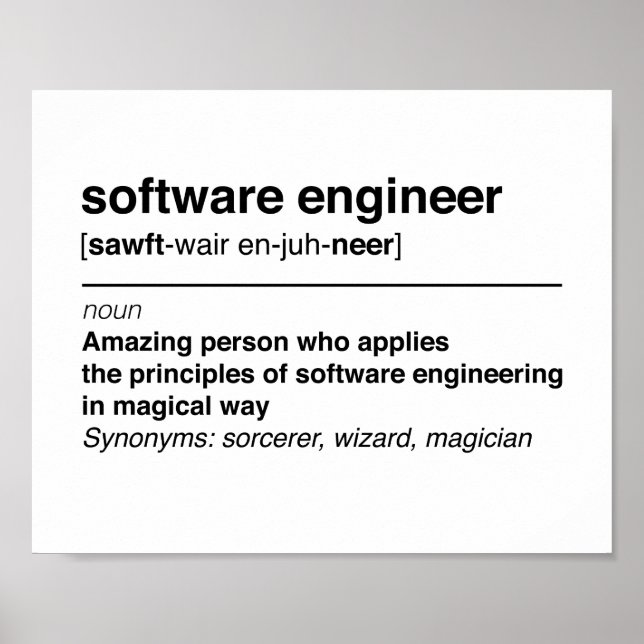 Software-Ingenieur Poster (Vorne)