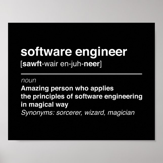 Software-Ingenieur Poster (Vorne)