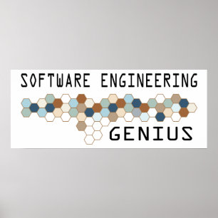 Softwaretechnik-Genie Poster