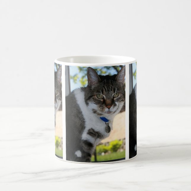 Softy Tabby Cat Tasse (Mittel)