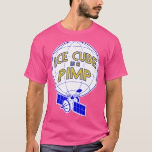 Sogar die Lichter des Spy-Ballons gesehen hat es g T-Shirt