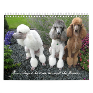 Sogar Hunde nehmen Zeit, die Blumen zu riechen Kalender