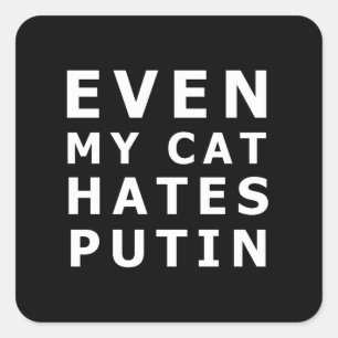 Sogar meine Katze hasst Puppen Quadratischer Aufkleber
