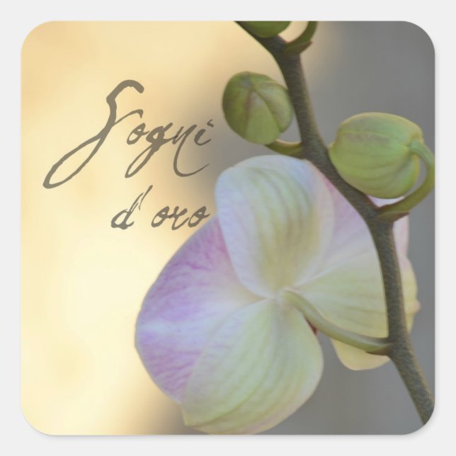 Sogni D'oro (süße Träume) Orchid Quadratischer Aufkleber (Vorderseite)