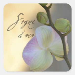 Sogni D'oro (süße Träume) Orchid Quadratischer Aufkleber