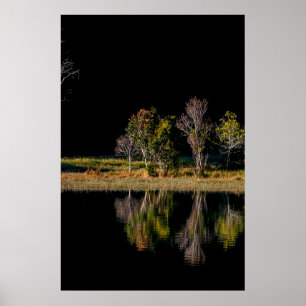soi Ball Symmetrie Szenerie reflektieren Poster