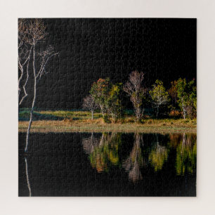 Soi-Kugel-Symmetrie-Landschaft reflektieren