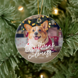 Soin de Noël joli ornement de fête de l'animal