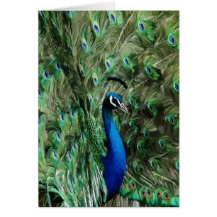 Soin de note de paon