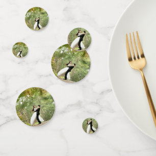 Soirée de mariage Personnalisé Photo Face Confetti