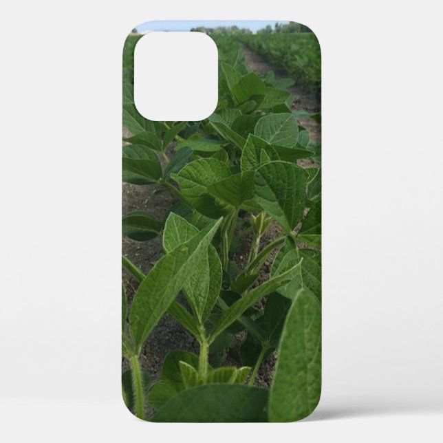 Sojabohnen Landwirtschaft Case-Mate iPhone Hülle (Rückseite)
