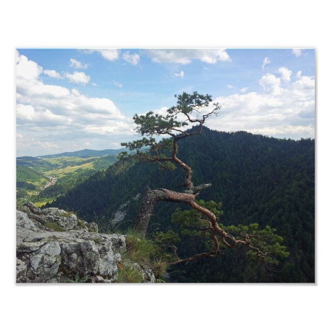 Sokolica, Pieniny Fotodruck (Vorne)