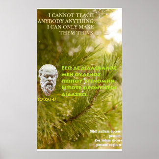 Sokrates berühmtes Zitat - ich kann es nicht lehre Poster