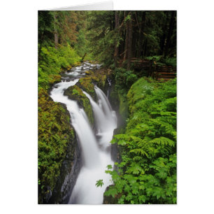 Sol Duc Falls dans le Parc national Olympique en