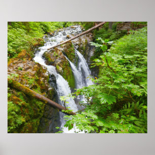 Sol Duc Falls II im Olympic National Park Poster