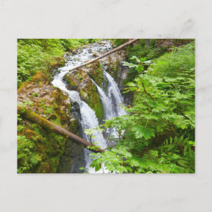 Sol Duc Falls II im Olympic National Park Postkarte