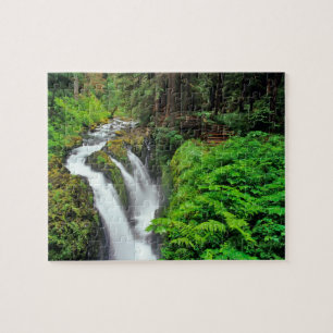 Sol Duc Falls im Olympic National Park in