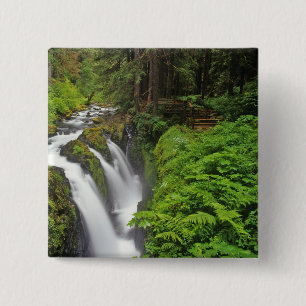 Sol Duc Falls im Olympic National Park in 2 Button