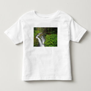 Sol Duc Falls im Olympic National Park in 2 Kleinkind T-shirt