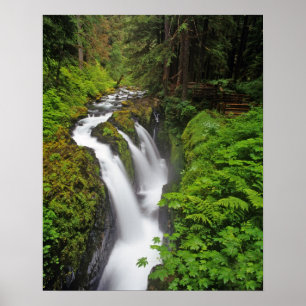 Sol Duc Falls im Olympic National Park in 2 Poster