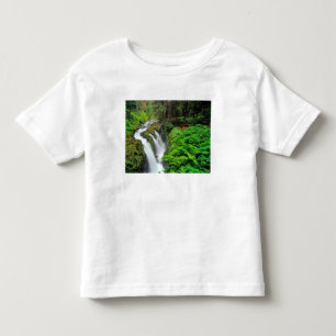 Sol Duc Falls im Olympic National Park in Kleinkind T-shirt