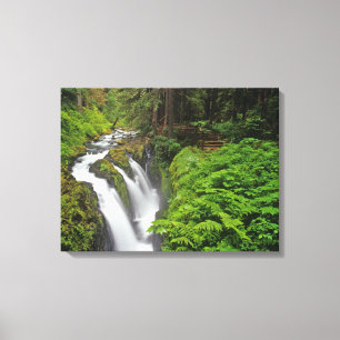 Sol Duc Falls im Olympic National Park in Leinwanddruck