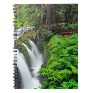Sol Duc Falls im Olympic National Park in Notizblock
