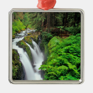 Sol Duc Falls im Olympic National Park in Ornament Aus Metall