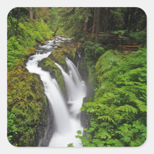 Sol Duc Falls im Olympic National Park in Quadratischer Aufkleber