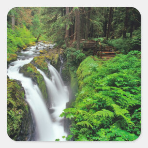 Sol Duc Falls im Olympic National Park in Quadratischer Aufkleber