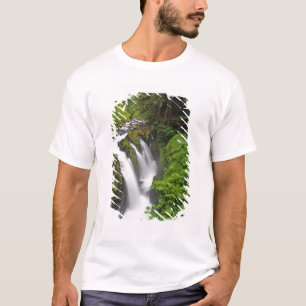 Sol Duc Falls im Olympic National Park in T-Shirt