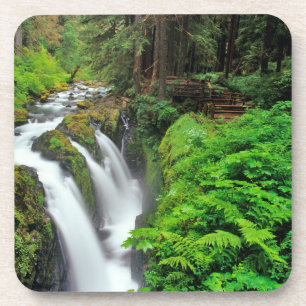 Sol Duc Falls im Olympic National Park in Untersetzer