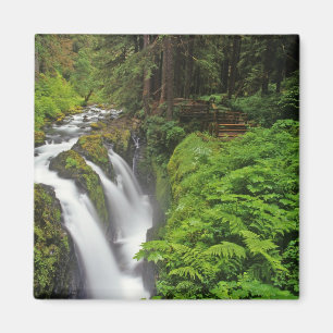 Sol Duc Falls in Olympic National Park 2 Magnet