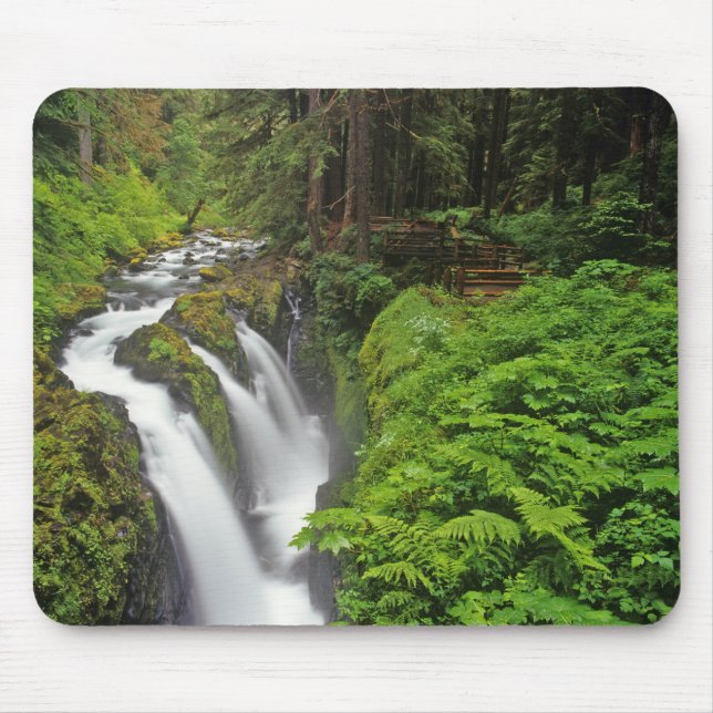 Sol Duc Falls in Olympic National Park 2 Mousepad (Vorne)