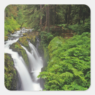 Sol Duc Falls in Olympic National Park 2 Quadratischer Aufkleber