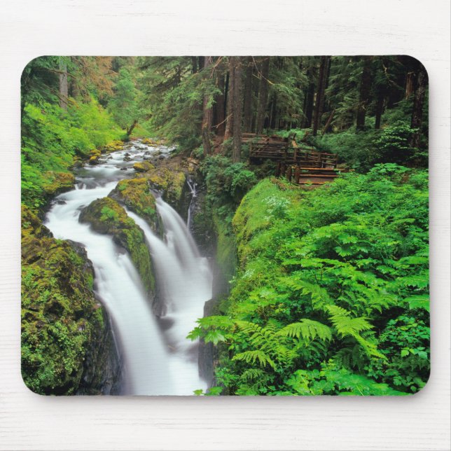 Sol Duc Falls in Olympic National Park in Mousepad (Vorne)