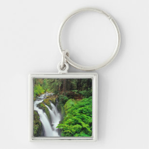 Sol Duc Falls in Olympic National Park in Schlüsselanhänger