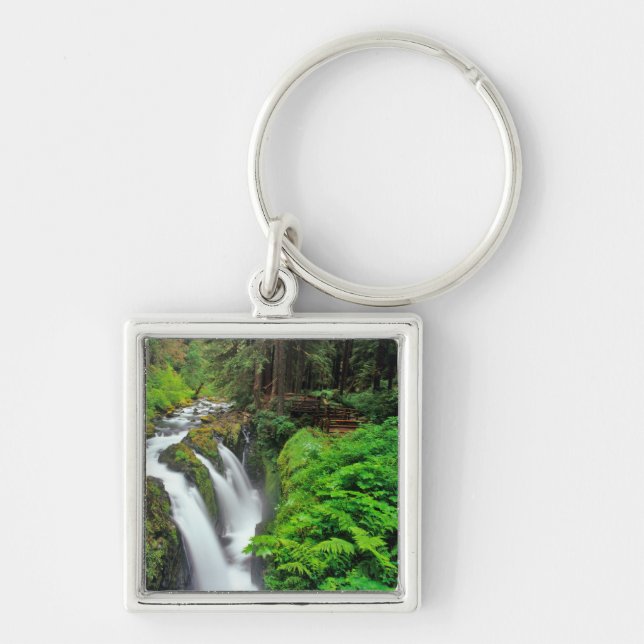 Sol Duc Falls in Olympic National Park in Schlüsselanhänger (Vorne)