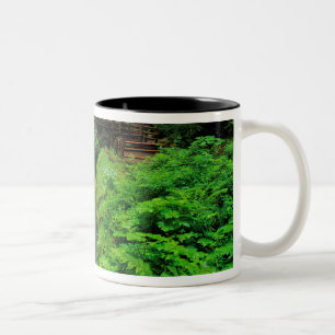 Sol Duc Falls in Olympic National Park in Zweifarbige Tasse