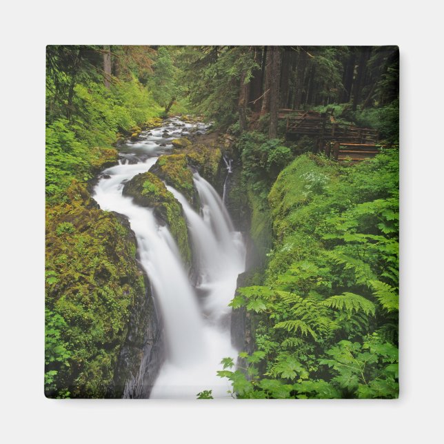 Sol Duc Falls in Olympic National Park Magnet (Vorne)