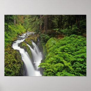 Sol Duc Falls in Olympic National Park Poster