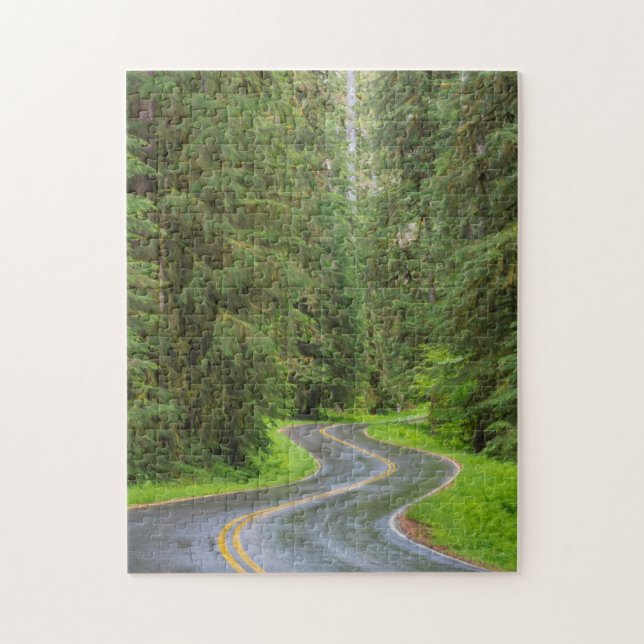 Sol Duc River Road durch Wald (Vertikal)