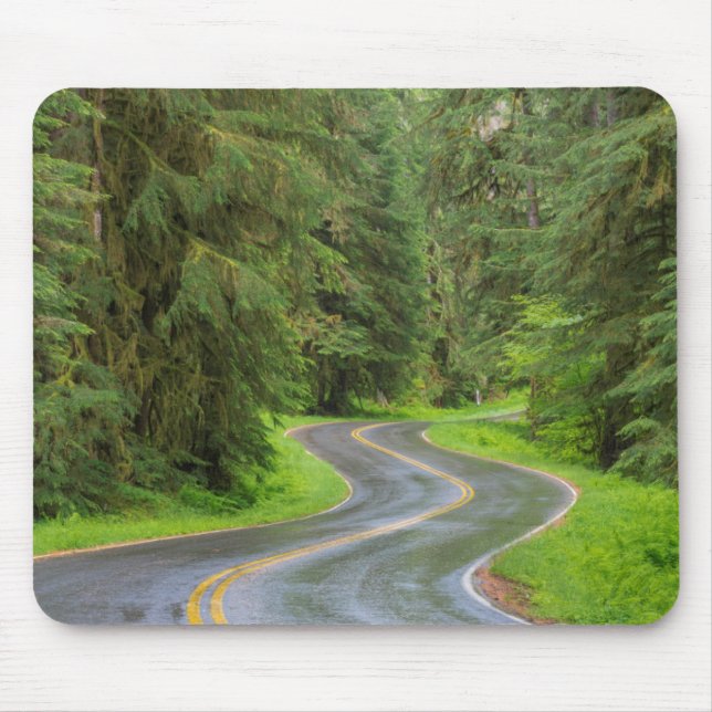 Sol Duc River Road durch Wald Mousepad (Vorne)