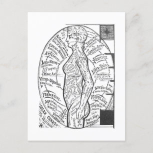 "Solare Grafik: Der Mikrokosmos" Zodiac Astrologie Postkarte
