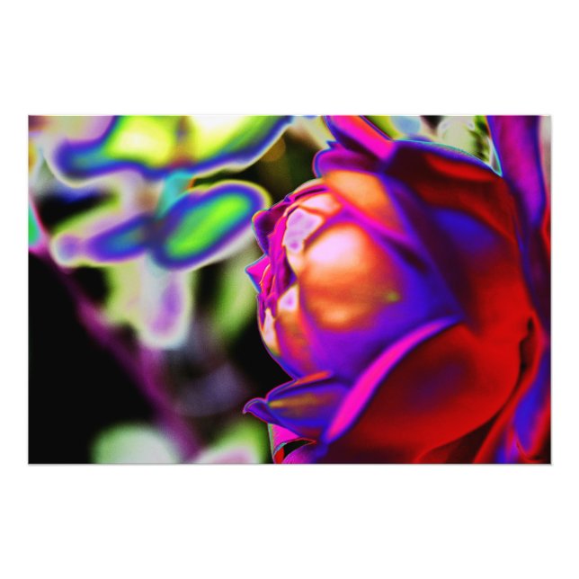 Solarisierte Rose von Shirley Taylor Fotodruck (Vorne)