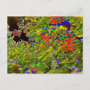 Solarisierte rote Berries, Mark Edward Westerfield Postkarte